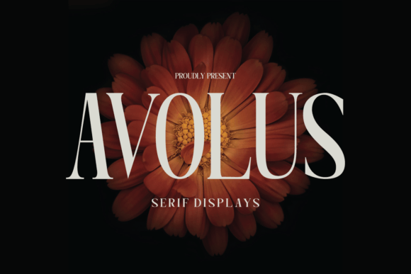 Avolus Font: Modern Typography for Designers