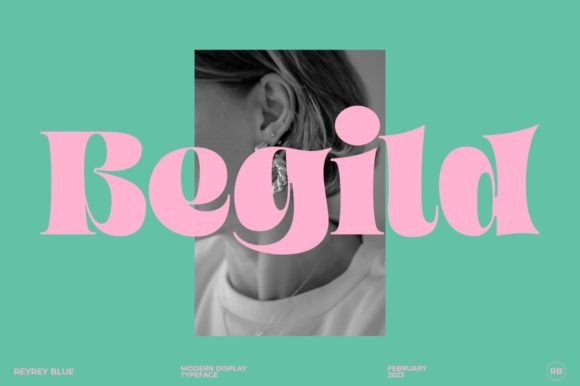 Begild Typeface for Web Design