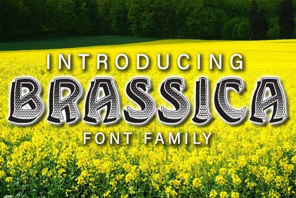 Brassica: An Extravagant Display Font for Bold Branding