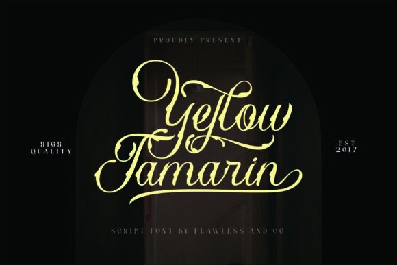 Yellow Tamarin: The Display Font for Bold Branding
